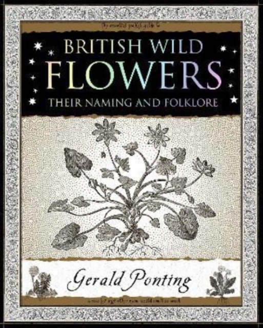 Book cover of British Wild Flowers