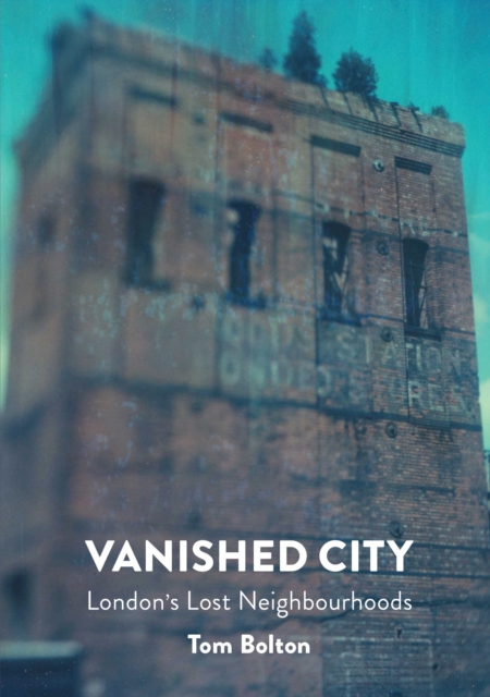 Book cover of The Vanished City
