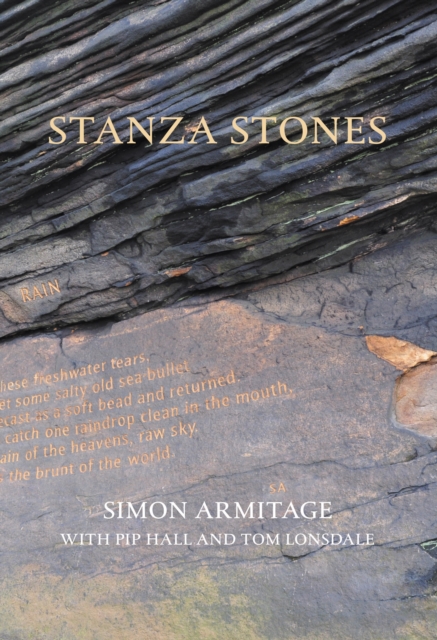 Book cover of Stanza Stones