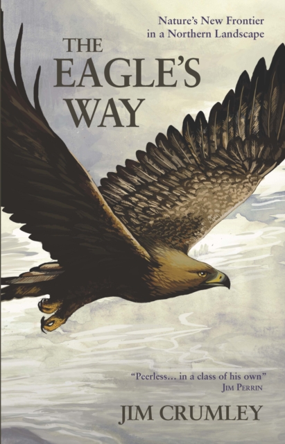 Book cover of The Eagle's Way