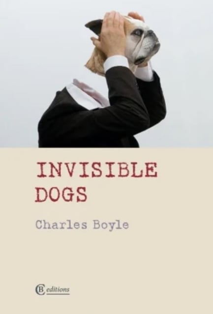 Book cover of Invisible Dogs