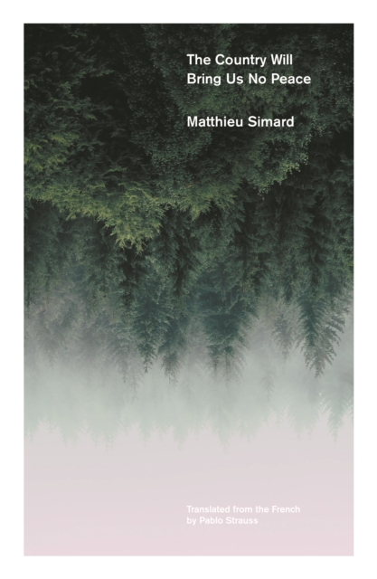 Book cover of The Country Will Bring Us No Peace