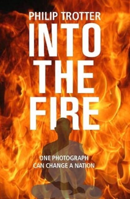 Book cover of INTO THE FIRE