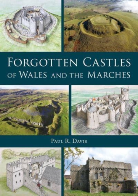 Book cover of Forgotten Castles of Wales and the Marches