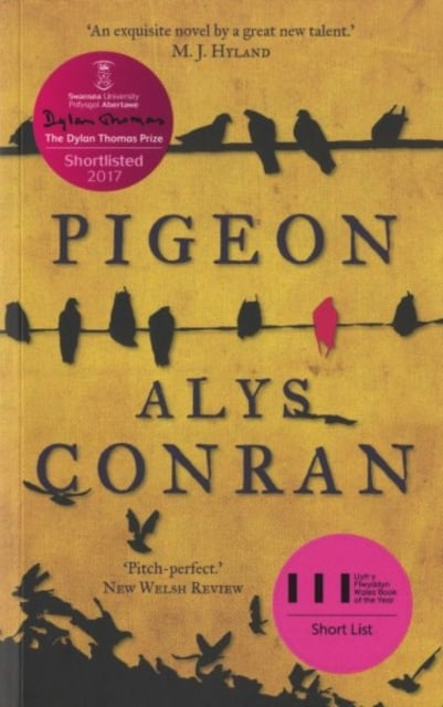 Book cover of Pigeon