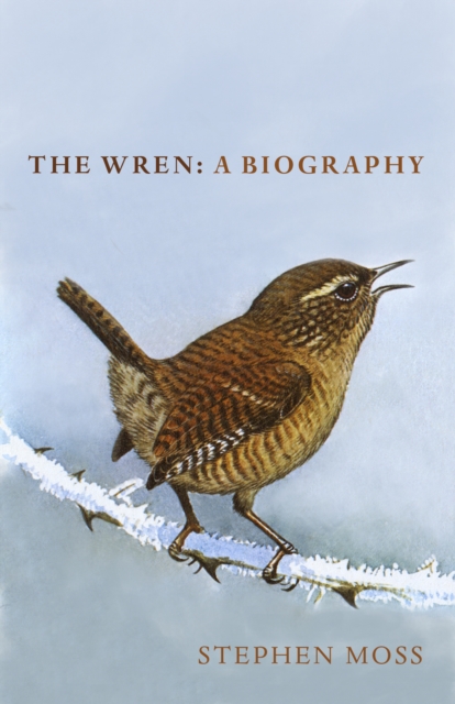 Book cover of The Wren