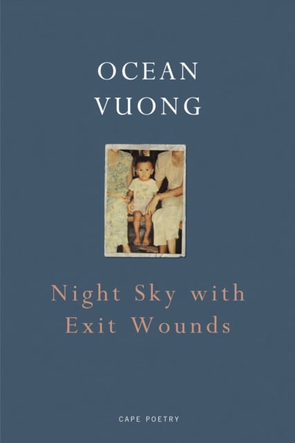 Book cover of Night Sky with Exit Wounds
