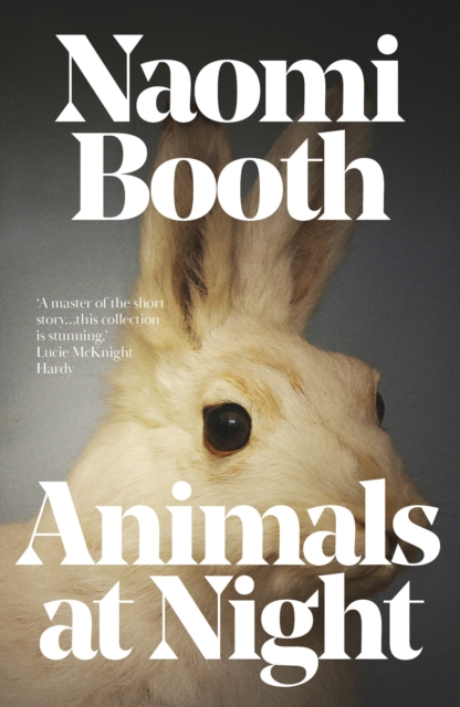 Book cover of Animals at Night