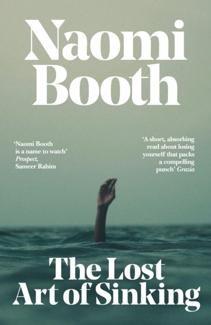 Book cover of The Lost Art of Sinking