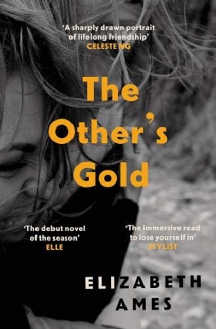 Book cover of The Other's Gold