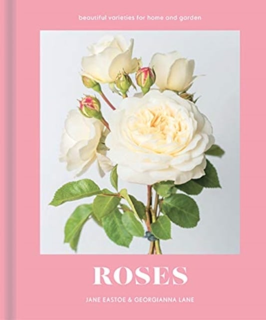Book cover of Roses
