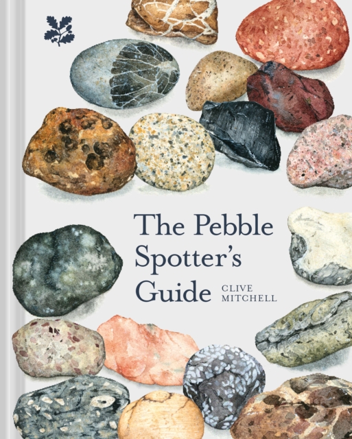 Book cover of The Pebble Spotter's Guide
