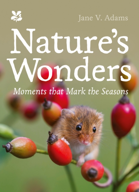 Book cover of Nature’s Wonders