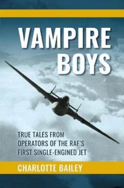 Book cover of Vampire Boys