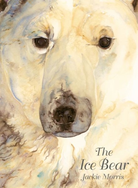 Book cover of The Ice Bear