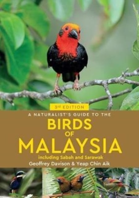 Book cover of A Naturalist's Guide To Birds of Malaysia (3rd edition)