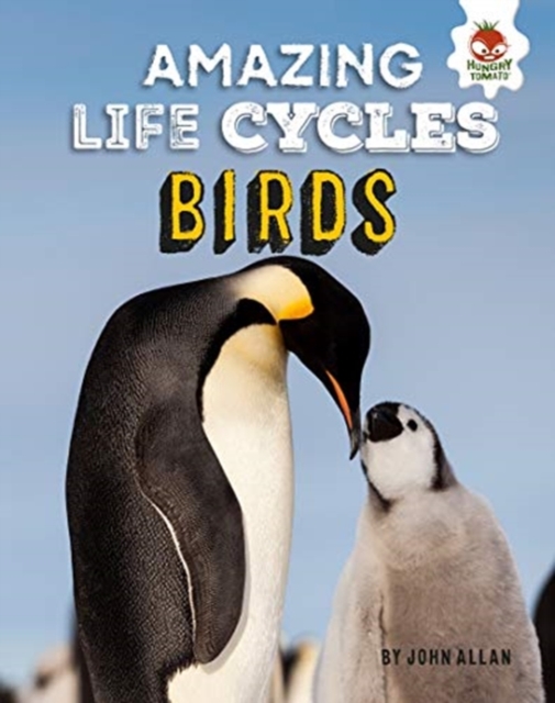 Book cover of Birds - Amazing Life Cycles