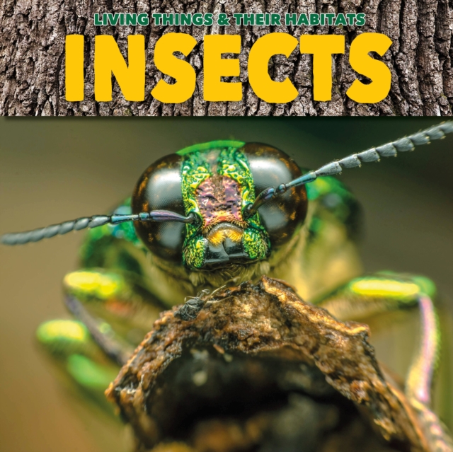 Book cover of Insects