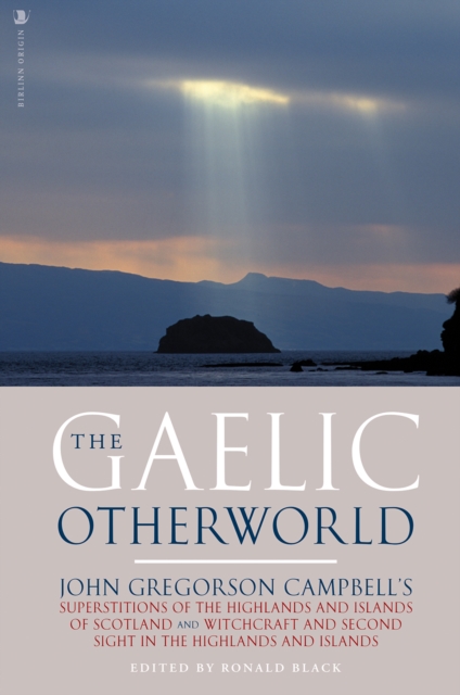 Book cover of The Gaelic Otherworld