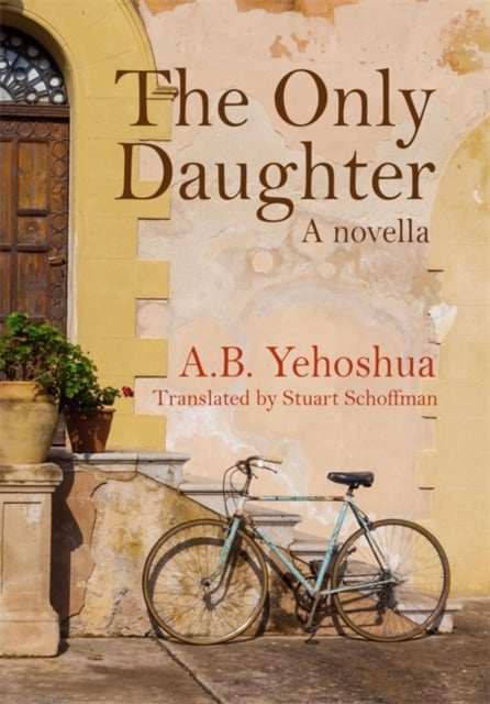 Book cover of The Only Daughter