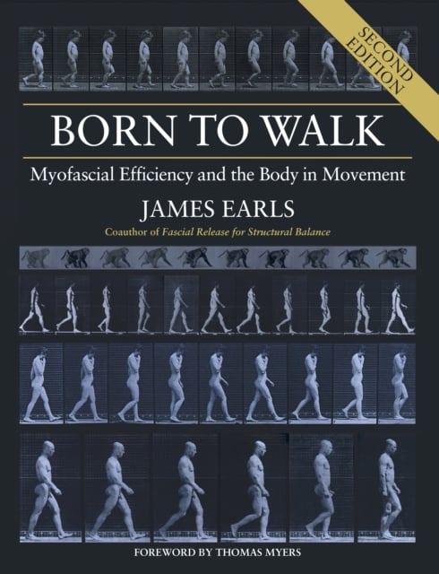 Book cover of Born to Walk