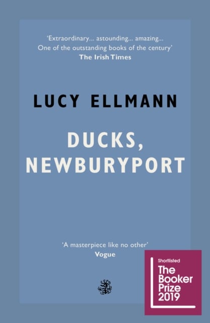 Book cover of Ducks, Newburyport