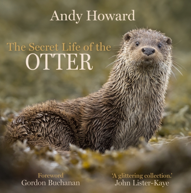 Book cover of The Secret Life of the Otter