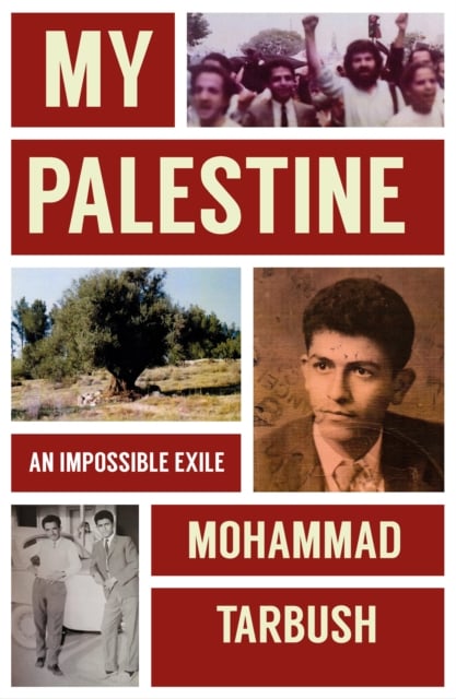 Book cover of My Palestine