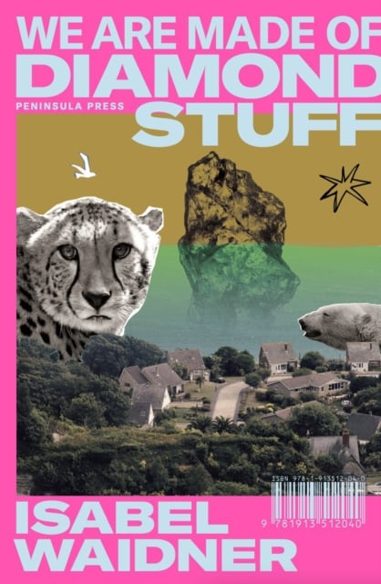 Book cover of We are Made of Diamond Stuff