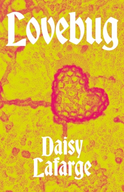 Book cover of Lovebug