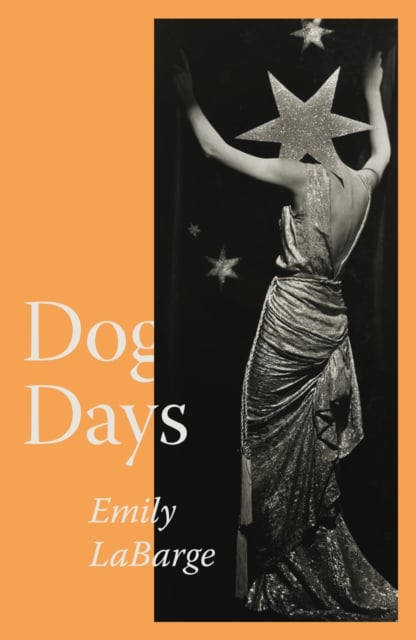Book cover of Dog Days