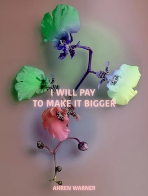 Book cover of i will pay to make it bigger