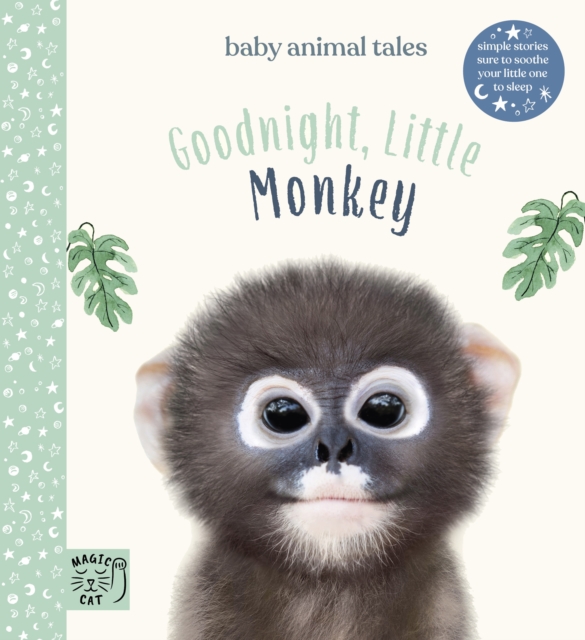 Book cover of Goodnight, Little Monkey