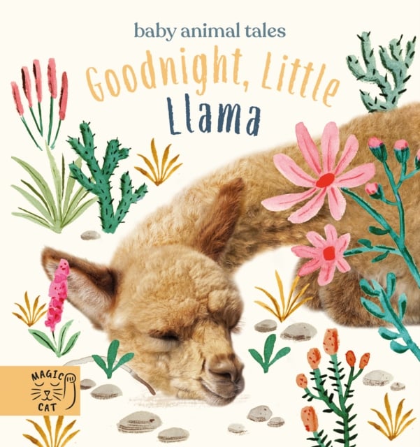 Book cover of Goodnight, Little Llama