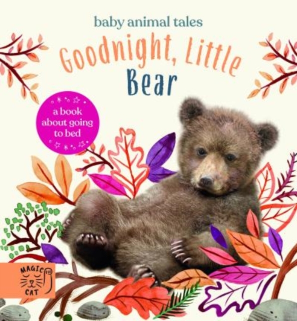Book cover of Goodnight, Little Bear