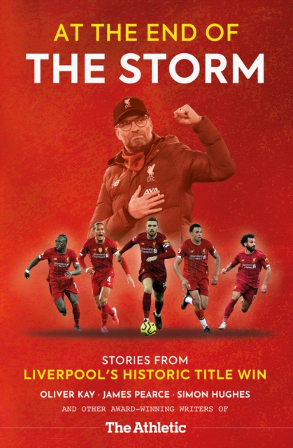 Book cover of At the End of the Storm