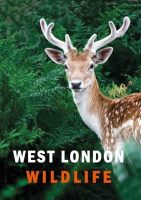 Book cover of West London Wildlife