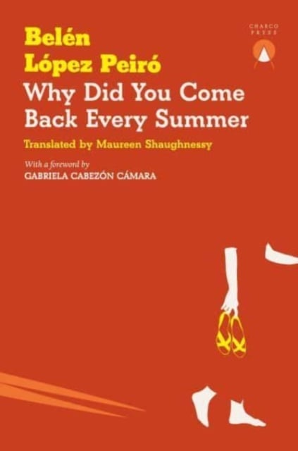 Book cover of Why Did You Come Back Every Summer