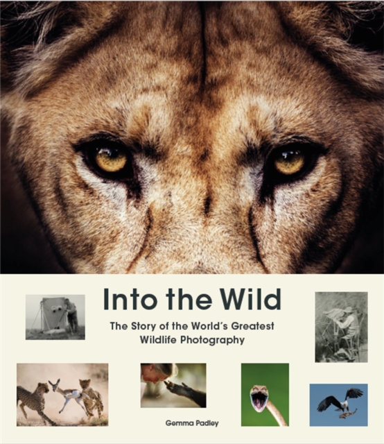Book cover of Into the Wild
