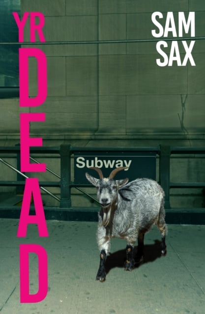 Book cover of Yr Dead