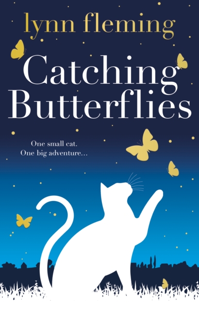 Book cover of Catching Butterflies
