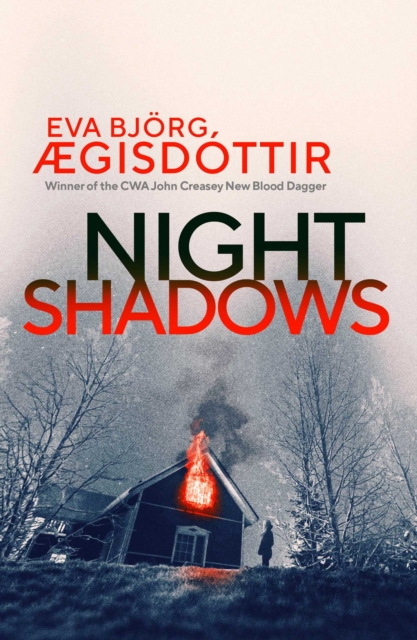 Book cover of Night Shadows