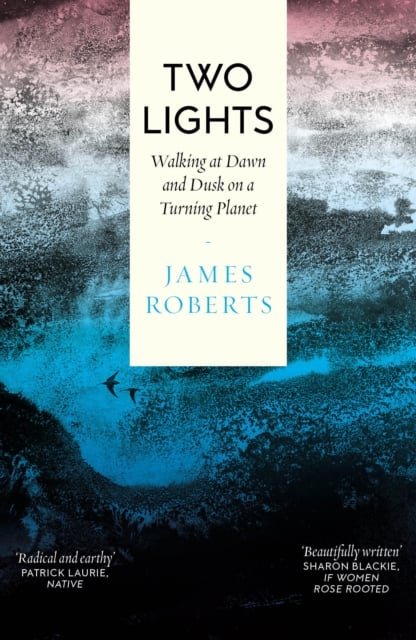 Book cover of Two Lights