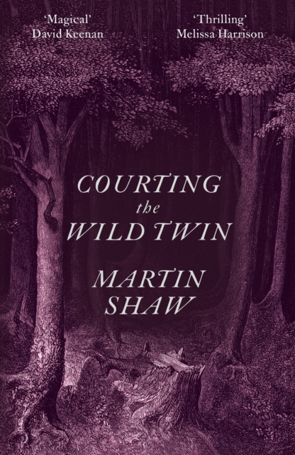 Book cover of Courting the Wild Twin