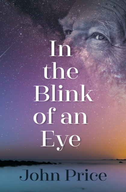 Book cover of In the Blink of an Eye