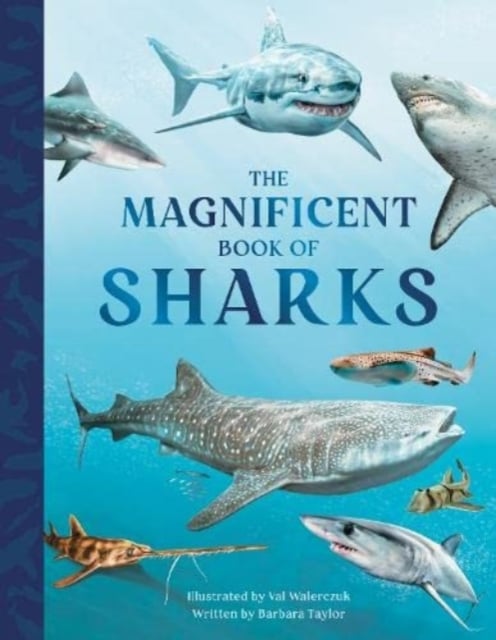 Book cover of The Magnificent Book of Sharks