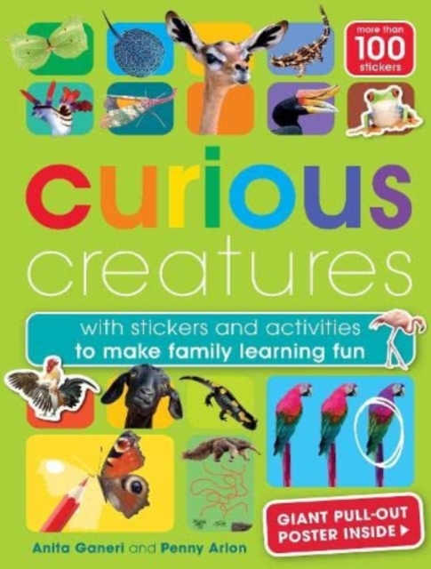 Book cover of Curious Creatures