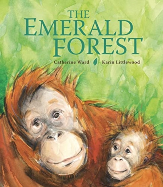 Book cover of The Emerald Forest