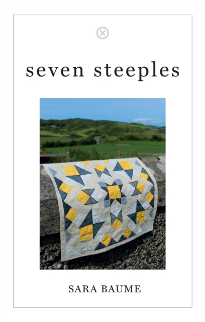 Book cover of Seven Steeples