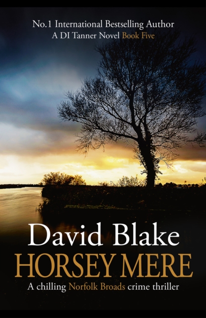 Book cover of Horsey Mere